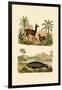 Llama, 1833-39-null-Framed Giclee Print