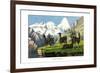 Llama, 1860-null-Framed Giclee Print