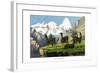 Llama, 1860-null-Framed Giclee Print