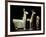 Llama, Alpaca and Woman, Inca-null-Framed Giclee Print