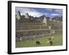 Llama and Ruins, Machu Picchu, Peru-Claudia Adams-Framed Photographic Print