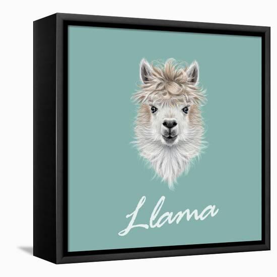 Llama Animal Portrait-ant_art-Framed Stretched Canvas