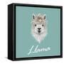 Llama Animal Portrait-ant_art-Framed Stretched Canvas