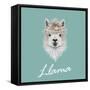 Llama Animal Portrait-ant_art-Framed Stretched Canvas