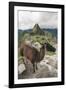 Llama at Machu Picchu, Aguas Calientes, Peru.-Michael DeFreitas-Framed Photographic Print