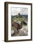 Llama at Machu Picchu, Aguas Calientes, Peru.-Michael DeFreitas-Framed Photographic Print