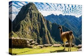 Llama at Machu Picchu, Incas Ruins in the Peruvian Andes at Cuzco Peru-OSTILL-Stretched Canvas