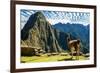 Llama at Machu Picchu, Incas Ruins in the Peruvian Andes at Cuzco Peru-OSTILL-Framed Photographic Print