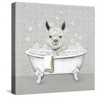 Llama Bath-Janet Tava-Stretched Canvas