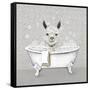 Llama Bath-Janet Tava-Framed Stretched Canvas