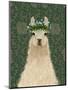 Llama Bohemian 1-Fab Funky-Mounted Art Print