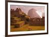 Llama Grazing at Machu Picchu-Laurie Chamberlain-Framed Photographic Print