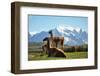 Llama in Landscape-fmingo-Framed Photographic Print