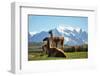 Llama in Landscape-fmingo-Framed Photographic Print