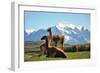 Llama in Landscape-fmingo-Framed Photographic Print