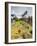 Llama in Machu Picchu, UNESCO World Heritage Site, Cusco Region, Peru, South America-Karol Kozlowski-Framed Photographic Print