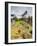 Llama in Machu Picchu, UNESCO World Heritage Site, Cusco Region, Peru, South America-Karol Kozlowski-Framed Photographic Print