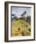 Llama in Machu Picchu, UNESCO World Heritage Site, Cusco Region, Peru, South America-Karol Kozlowski-Framed Photographic Print