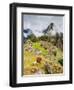 Llama in Machu Picchu, UNESCO World Heritage Site, Cusco Region, Peru, South America-Karol Kozlowski-Framed Photographic Print