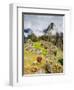 Llama in Machu Picchu, UNESCO World Heritage Site, Cusco Region, Peru, South America-Karol Kozlowski-Framed Photographic Print