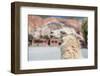 Llama in Purmamarca, Jujuy, Argentina.-Anibal Trejo-Framed Photographic Print