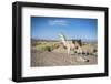 Llama in Salinas Grandes in Jujuy, Argentina.-Anibal Trejo-Framed Photographic Print