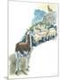 Llama Lama Glama Guarding Flock of Sheep-null-Mounted Giclee Print