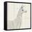 Llama Land II-Avery Tillmon-Framed Stretched Canvas