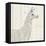 Llama Land II-Avery Tillmon-Framed Stretched Canvas