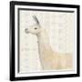 Llama Land III-Avery Tillmon-Framed Art Print