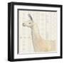 Llama Land III-Avery Tillmon-Framed Art Print