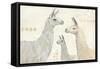Llama Land IV-Avery Tillmon-Framed Stretched Canvas