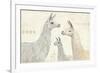 Llama Land IV-Avery Tillmon-Framed Art Print