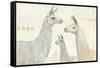 Llama Land IV-Avery Tillmon-Framed Stretched Canvas