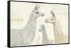 Llama Land IV-Avery Tillmon-Framed Stretched Canvas