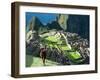 Llama, Machu Picchu, Peru-Miva Stock-Framed Premium Photographic Print