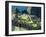 Llama, Machu Picchu, Peru-Miva Stock-Framed Premium Photographic Print