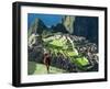 Llama, Machu Picchu, Peru-Miva Stock-Framed Premium Photographic Print
