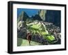 Llama, Machu Picchu, Peru-Miva Stock-Framed Photographic Print