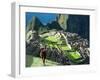 Llama, Machu Picchu, Peru-Miva Stock-Framed Photographic Print