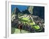 Llama, Machu Picchu, Peru-Miva Stock-Framed Photographic Print