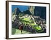 Llama, Machu Picchu, Peru-Miva Stock-Framed Photographic Print