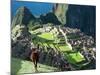 Llama, Machu Picchu, Peru-Miva Stock-Mounted Photographic Print