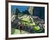 Llama, Machu Picchu, Peru-Miva Stock-Framed Photographic Print