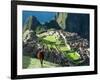 Llama, Machu Picchu, Peru-Miva Stock-Framed Photographic Print