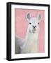 Llama on Pink-Kimberly Allen-Framed Art Print