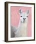 Llama on Pink-Kimberly Allen-Framed Art Print