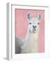 Llama on Pink-Kimberly Allen-Framed Art Print