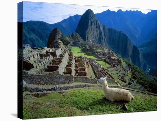 Llama Rests Overlooking Ruins of Machu Picchu in the Andes Mountains, Peru-Jim Zuckerman-Stretched Canvas