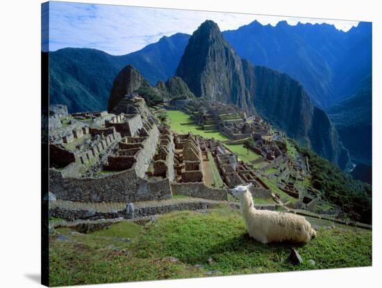 Llama Rests Overlooking Ruins of Machu Picchu in the Andes Mountains, Peru-Jim Zuckerman-Stretched Canvas